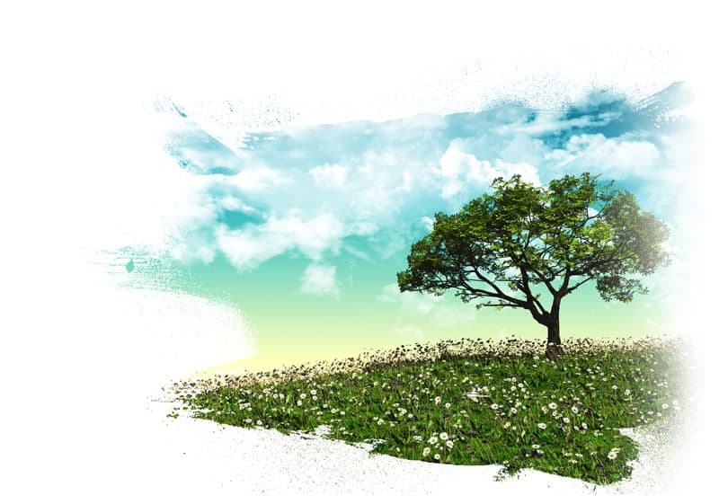 A lone tree on a flowering hillside beneath a watercolour sky